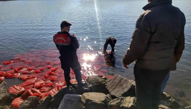 İzmir'de kaçak su ürünleri avcılığı yapan kişi suçüstü yakalandı