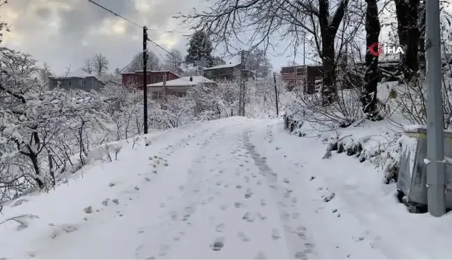 Zonguldak'tan kar manzaraları