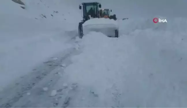 Van-Bahçesaray yolu yeniden ulaşıma açıldı