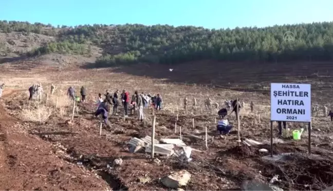 Son dakika: Şehitler için hatıra ormanı oluşturuldu