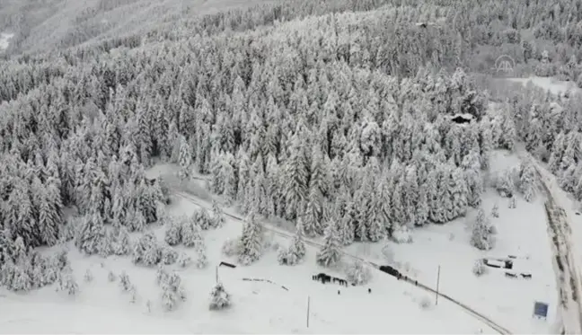 Artvin'in turizm merkezi Kafkasör Yaylası beyaz örtüyle kaplandı