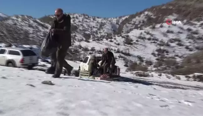 Şırnak'ta yaban hayvanları için yem bırakıldı