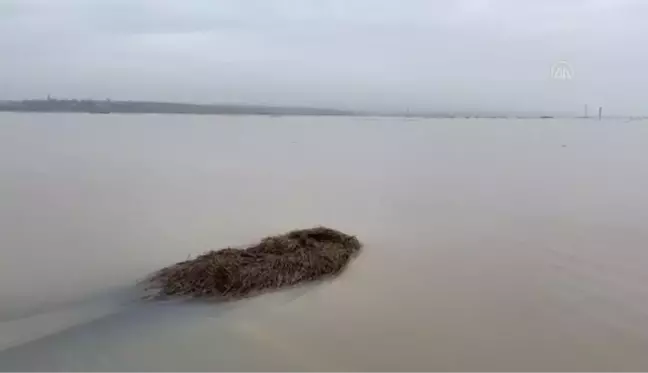 Ergene Nehri'nin yatağından taşması nedeniyle bazı köy yolları ulaşıma kapandı (2)