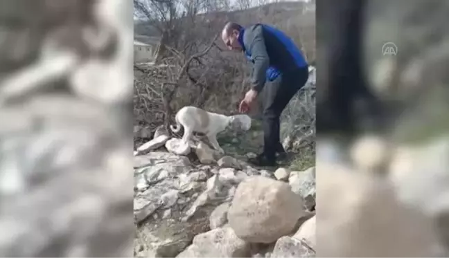 Kafası plastik bidona sıkışan köpek yavrusu kurtarıldı