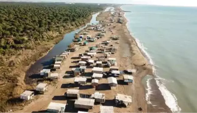 Caretta caretta kumsalı, kaçak barakayla doldu! Bu yılki yumurtaların yüzde 56,9'u bozuk çıktı