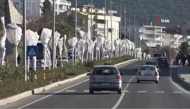 Kuşadası'nda ağaçlara özel koruma