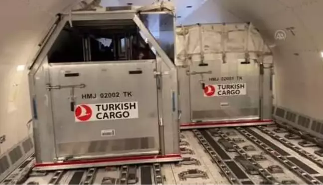 Turkish Cargo, 63 atı ABD'den Türkiye'ye güvenle taşıdı