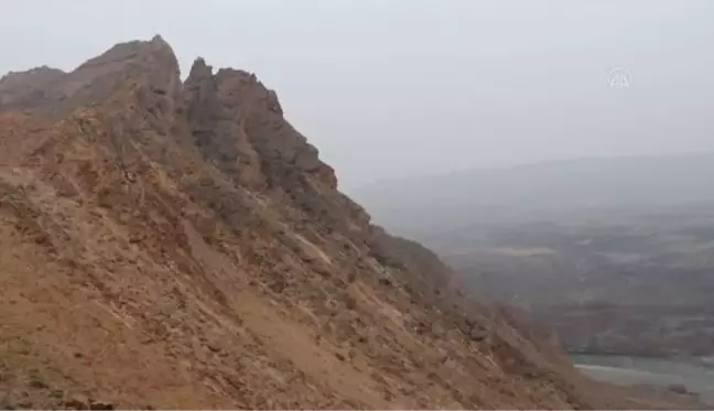 Doğa tutkunlarından Iğdır'daki Kızıl Kayalıklar'da akbabaların zirvesine fotosafari