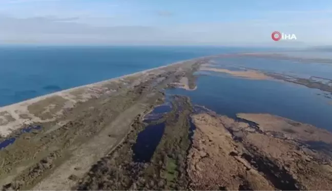 Karacabey longoz ormanları suyla buluşmaya başladı