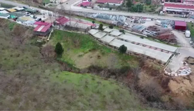 Barınak sokak hayvanlarına şifa oluyor