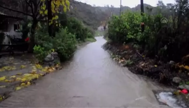 Ortaca'da yağışlı hava etkili oluyor