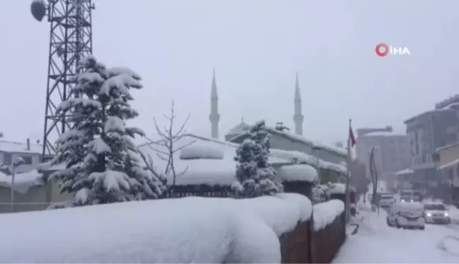 Karlıova'da ev ve ahırlar kara gömüldü