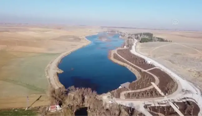 Konya Ovası'nın kuraklıktan etkilenmeyen gölü koruma altına alındı