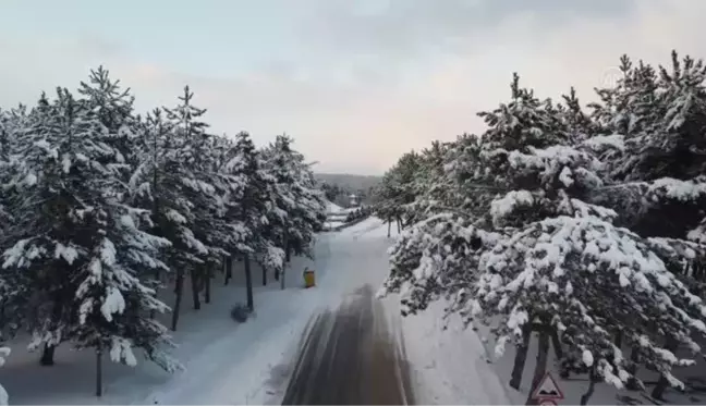 Beyaz gelinliğini giyen 42 yıllık gölet doğa tutkunlarının uğrak mekanı oluyor