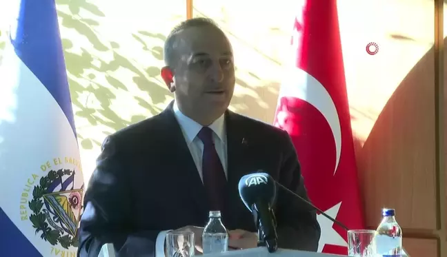 Çavuşoğlu: 