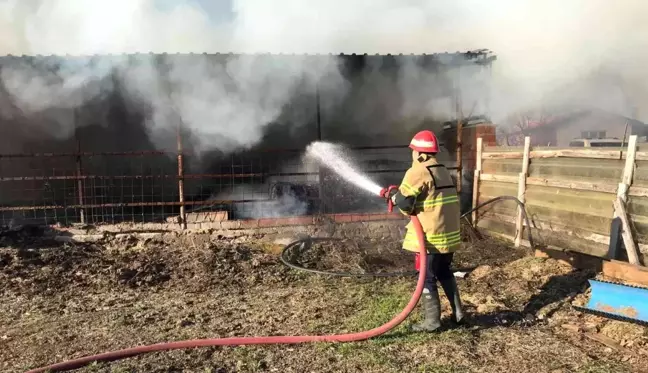 Çan'da 300 adet saman balyası yandı