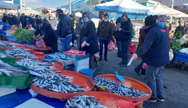 Tekirdağ'da hamsi 25 TL'ye kadar düştü