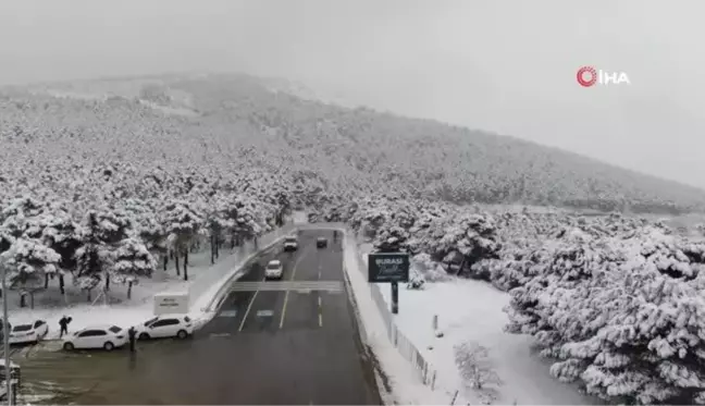 İstanbul'da etkili olan kar yağışıyla Aydos Ormanı beyaza büründü