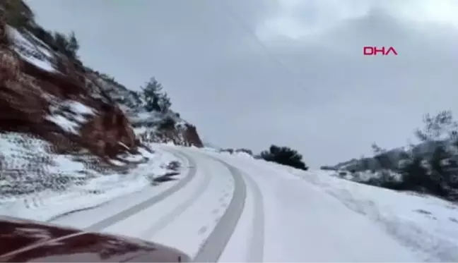 OSMANİYE'DE DAĞ ETEKLERİNE HAYVANLAR İÇİN YEM BIRAKILDI