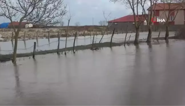 Bafra Ovası'nda kanal taştı, tarım arazileri ve ahırlar su altında kaldı