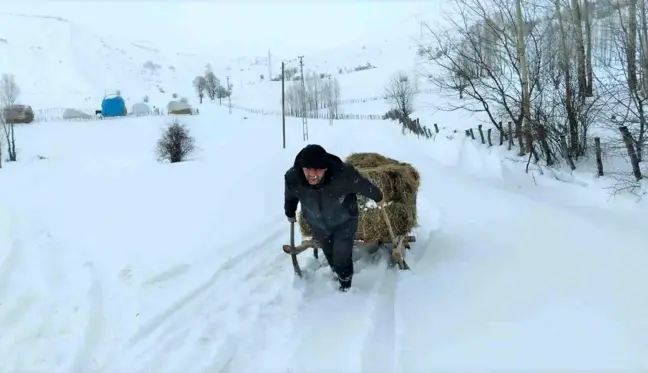 Bingöl'de besicilerin çetin kış şartlarına rağmen zorlu mesaisi sürüyor