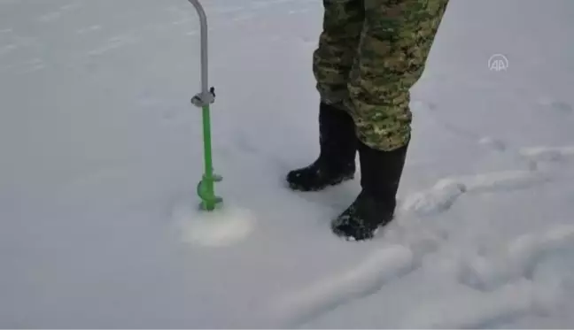 KRASNOYARSK - Rusya'da buz tutan nehirde kamera yardımıyla balık avı