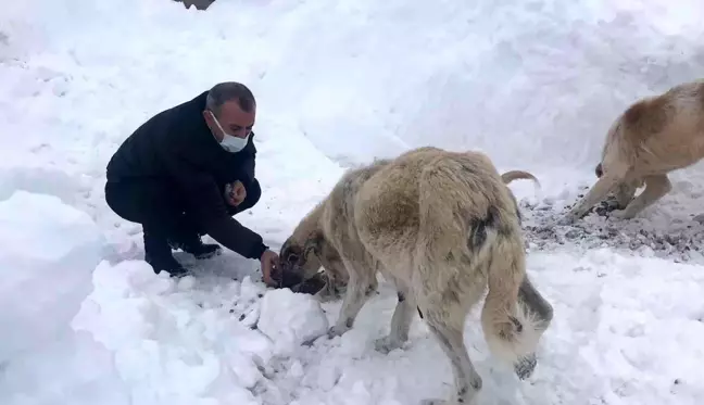 Ordu Valisi Sonel karlı yolda karşılaştığı 