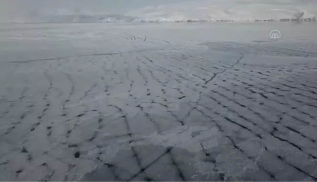 Yüzeyi buz tutan Nazik Gölü'nde kıyıya vuran balıklar dondu