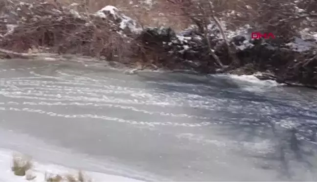 ÜZÜM BAĞINA DÜŞEN PELİKAN DONMAK ÜZEREYKEN KURTARILDI