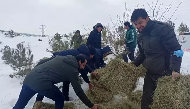 Öğrenciler yaban hayvanları için yem bıraktı