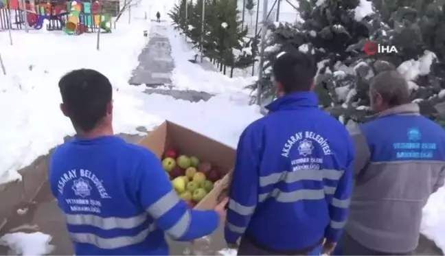 Aksaray'da ağaçlar meyvelendi- Zorlu kış şartları nedeniyle belediye kuşlar için ağaçlara meyve taktı