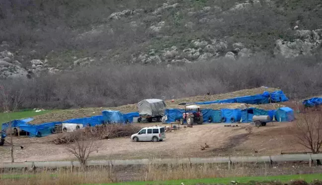 Koyunu kurtarmak isteyen çobanın feci ölümü