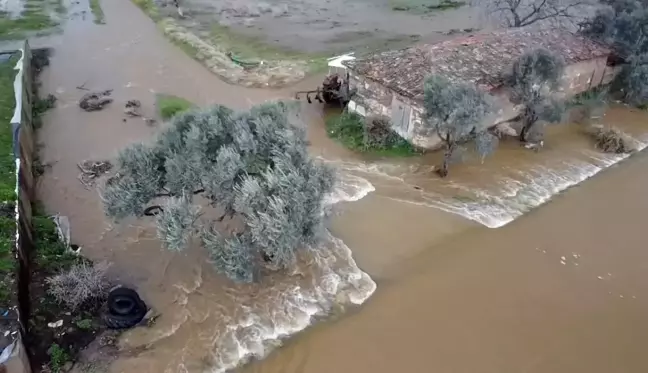 Tire'de yeraltı barajı taştı, tarlalar ve çiftlikler su altında kaldı