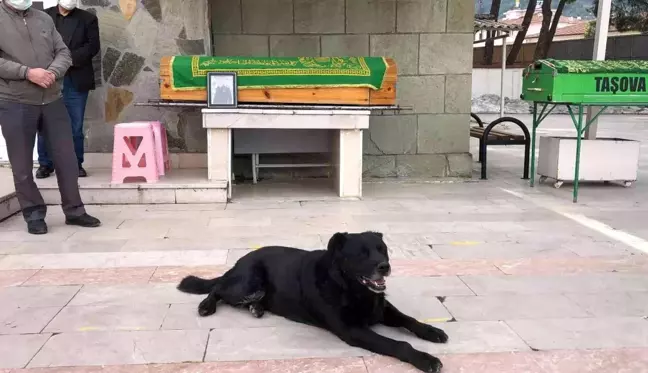 Ölen sahibinin tabutunun başından biran olsun ayrılmadı