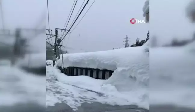 Japonya'da şiddetli kar hayatı olumsuz etkiledi209 uçuş, 67 tren seferi iptal edildi