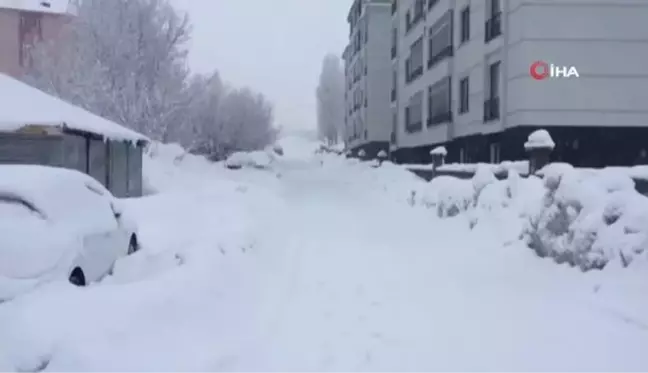 Karlıova'da kar yağışı etkisini sürdürüyor