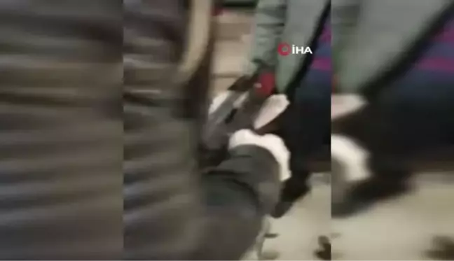Mardin'de ruhsatsız silah ve mühimmat ele geçildi