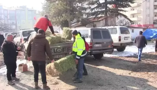 KAHRAMANMARAŞ - Gönüllüler yaban hayvanları için doğaya yem bıraktı