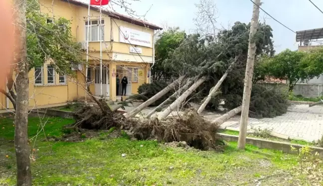 Hatay'da fırtına çatıları uçurdu ağaçları kökünden söktü