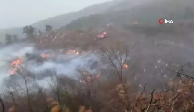 İskenderun'da orman yangını...Bölgedeki fırtına yangın söndürme ekiplerine zor anlar yaşatıyor