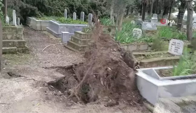 Fırtınanın kökünden söktüğü ağaçlar mezarlara zarar verdi