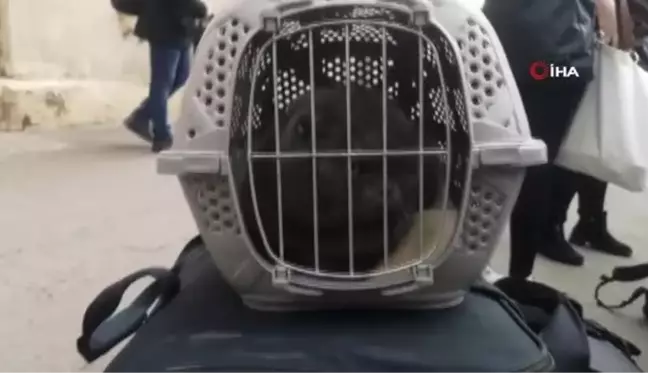 Türk vatandaşları Odessa'dan tahliye ediliyor