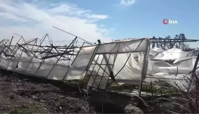 Antalya'da 10 saniyelik hortum domates serasını yerle bir etti