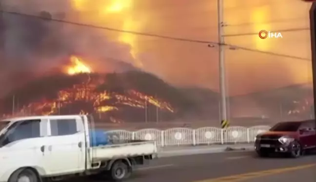 Son dakika... Güney Kore'deki orman yangını Hanul Nükleer Santrali yakınına ulaştı