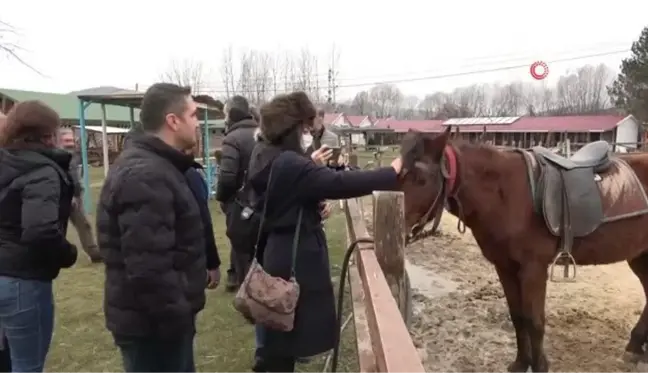 Seyahat acenteleri Kastamonu'daki at çiftliklerine hayran kaldı