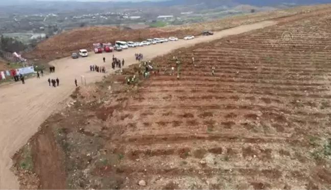 Manavgat'ta yanan alanda Kadın İşçiler Hatıra Ormanı oluşturuldu