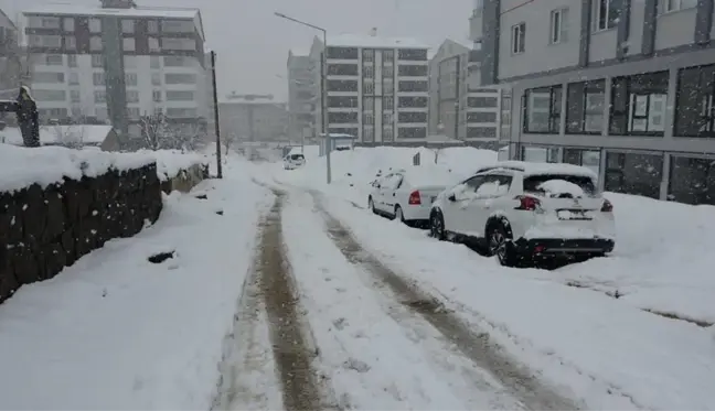 Bitlis'te 58 köy yolu ulaşıma kapandı