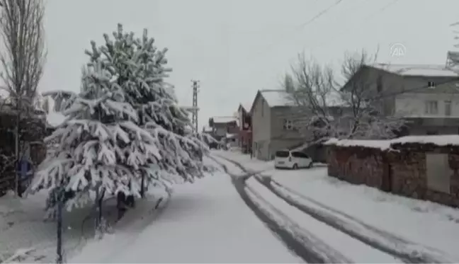 Doğanşehir'de kar yağışı etkili oldu