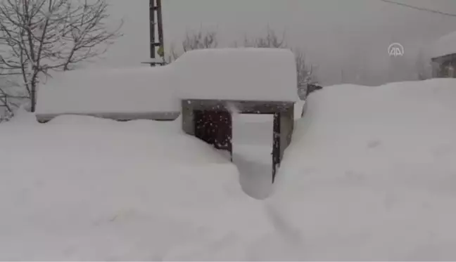 Kastamonu'da araçlar 1,5 metreye yaklaşan karın altında kaldı