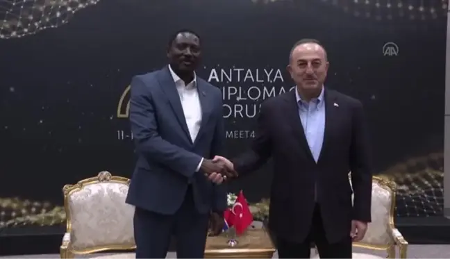 Çavuşoğlu, Gambiya Dışişleri Bakanı Mamadou Tangara ile görüştü